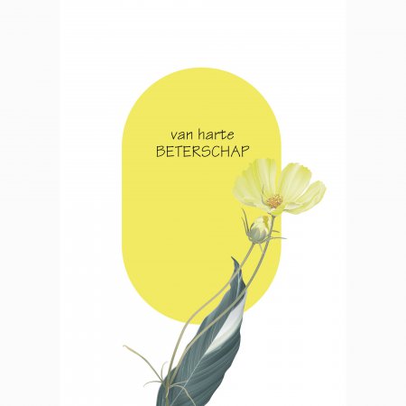 Beterschap Van harte beterschap - gele bloem