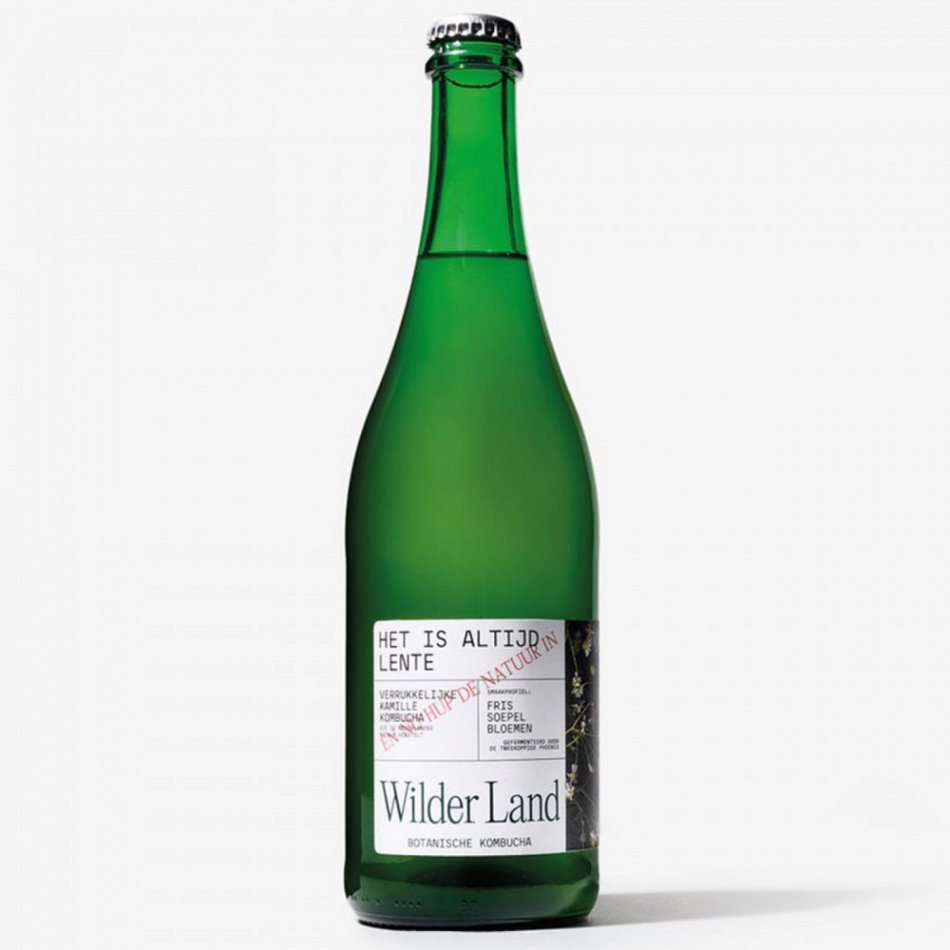 Wilder Land Kombucha 75 CL - Het is altijd lente