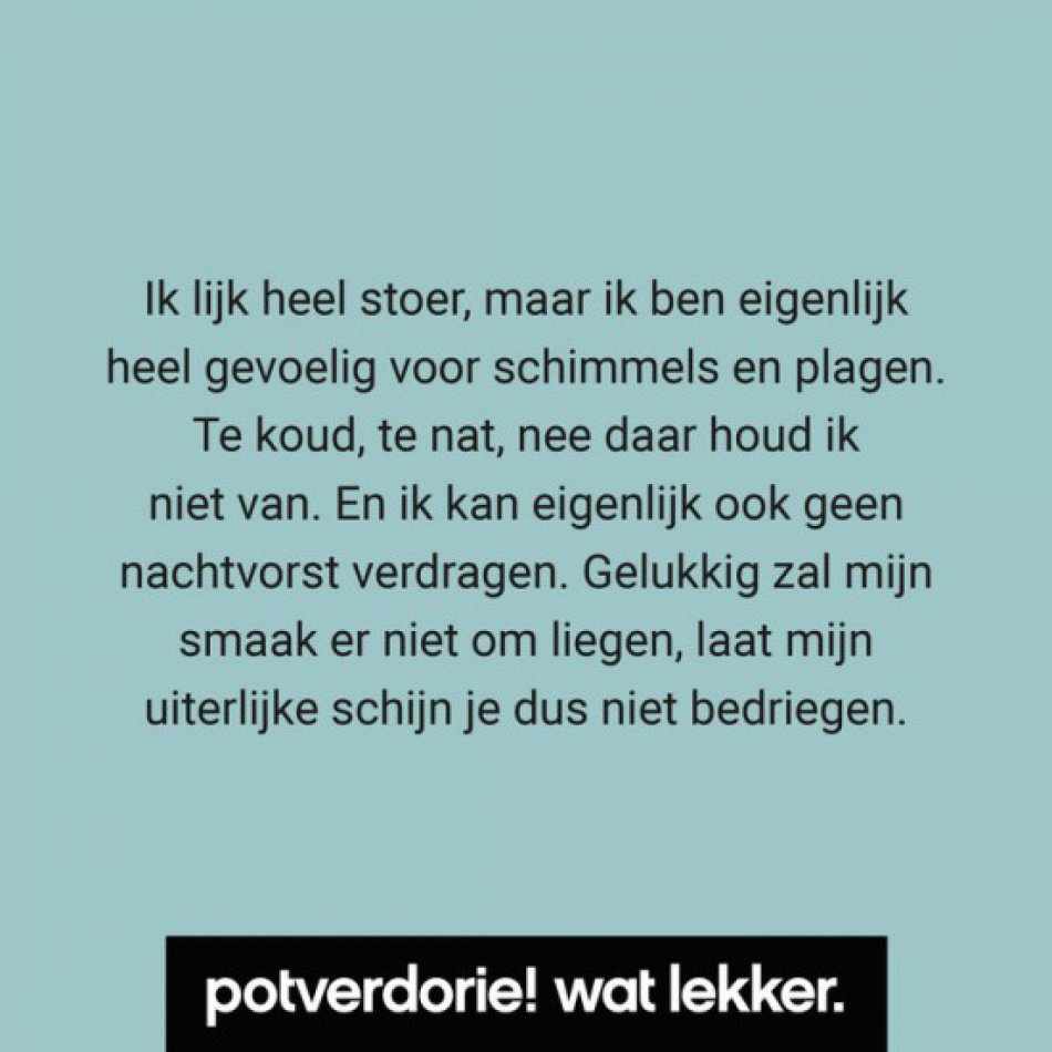 Potverdorie! Kersen-rozemarijnspread, 210 ml